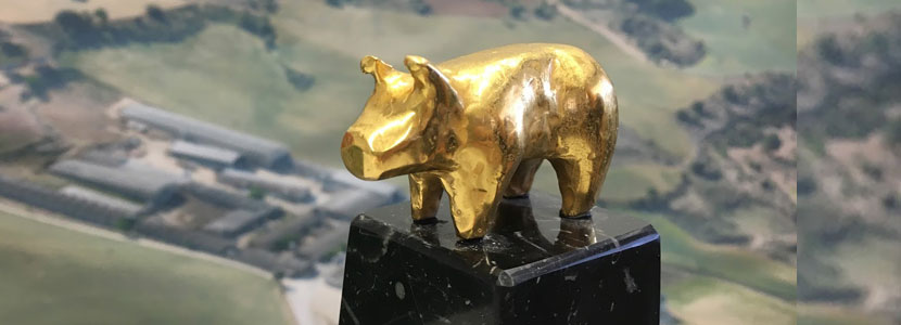 Todo sobre los Premios Porc D´Or
