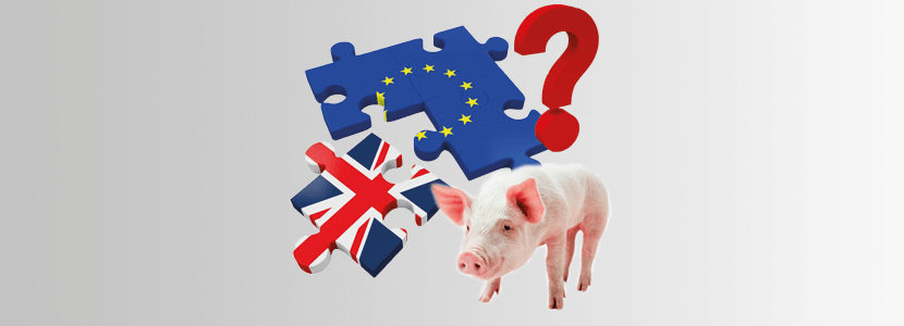 ¿Cómo afectará el Brexit a la exportación de carne de cerdo a Reino Unido?