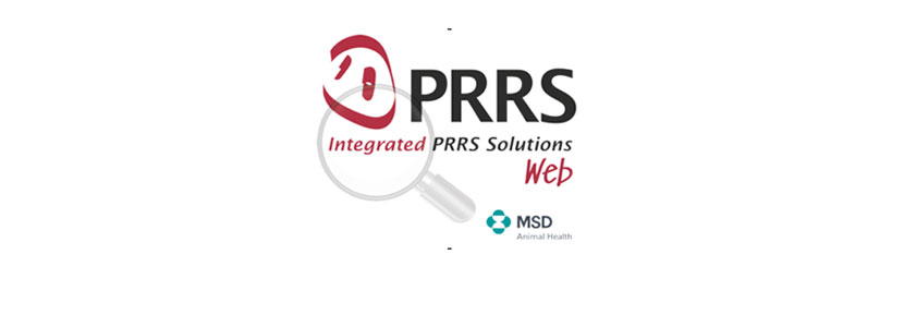 Integrated PRRS Solutions: toda la información sobre el PRRS, a...