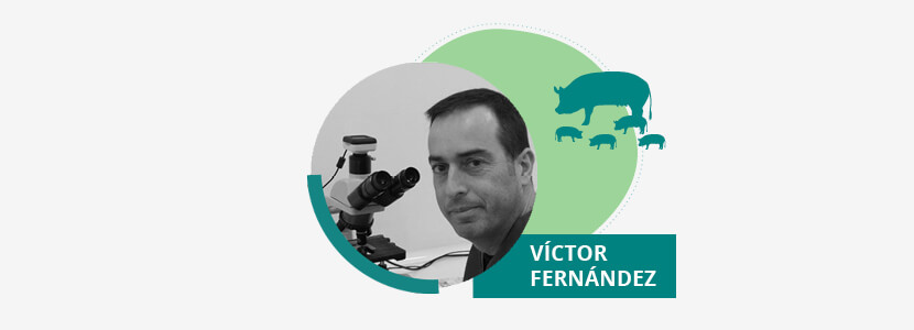 Memoria porciFORUM 2019 – Víctor Fernández Benito