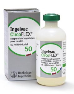 Ingelvac CircoFLEX