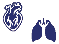 Aparición de PCV3 en casos clínicos de porcino by Zoetis corazon pulmon
