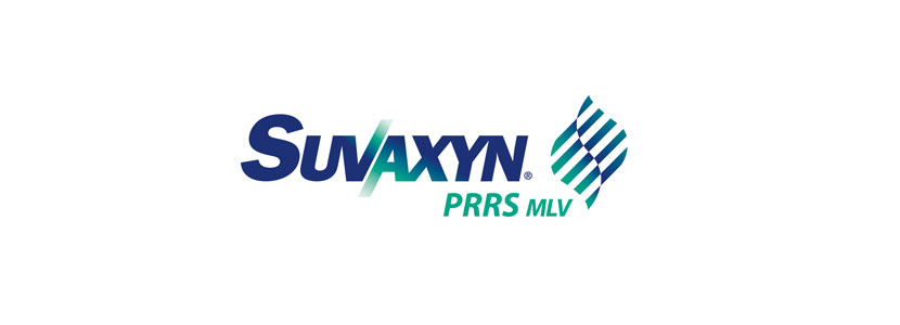 Suvaxyn® PRRS MLV celebra su primer aniversario