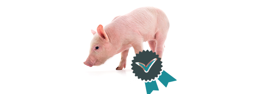 Nuevo Esquema de Cualificación del Bienestar Animal del IRTA