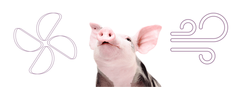 Claves para la optimización de la climatización en granjas porcinas