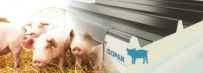 Soluciones de Isopan para la construcción de granjas eficientes y duraderas