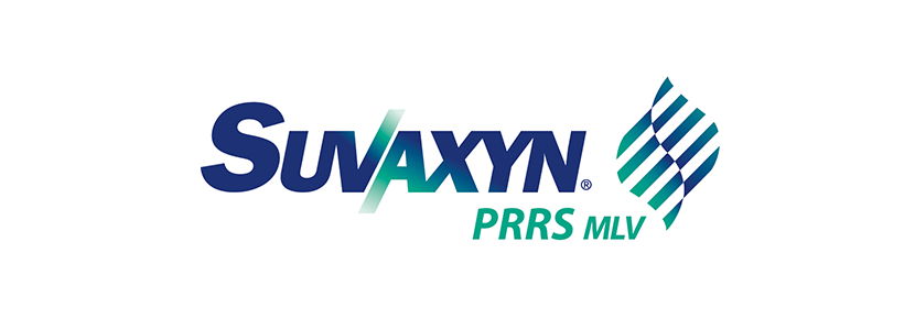 La vacunación con Suvaxyn® PRRS MLV reduce en un 54 % el uso de antibióticos en porcino