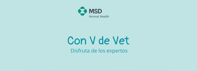 MSD Animal Health presenta “Con V de Vet”, el programa...