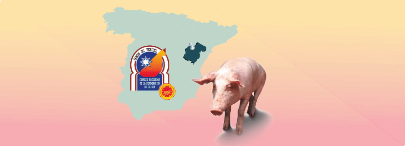 Producción de cerdos para la DOP Jamón de Teruel / Paleta de Teruel