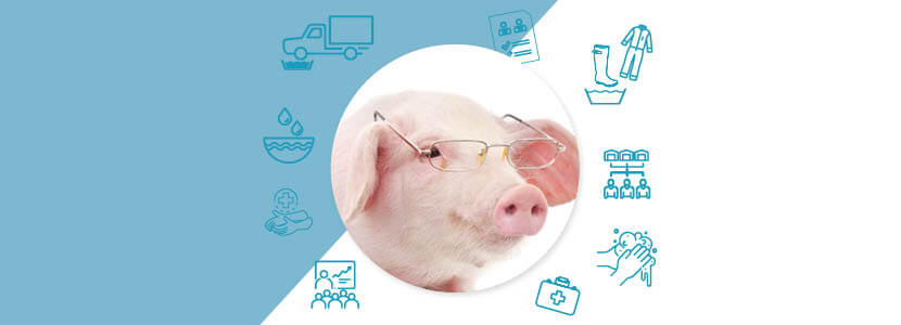 ¿Qué aspectos de la Bioseguridad podemos mejorar en las granjas porcinas?