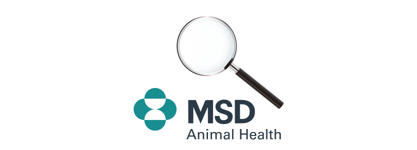 MSD Animal Health impulsa una jornada de necropsias porcinas en...