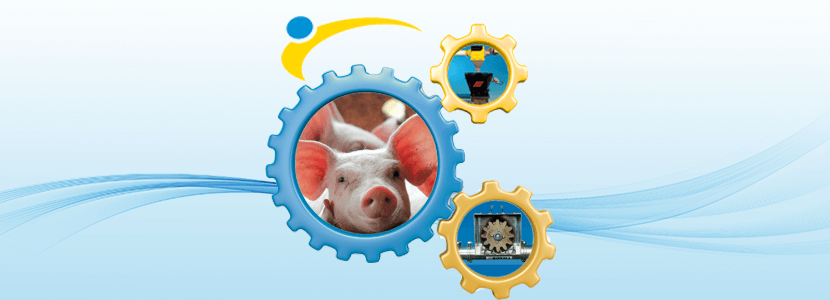 ¿Conoces el sistema Multiflex para alimentación porcina?