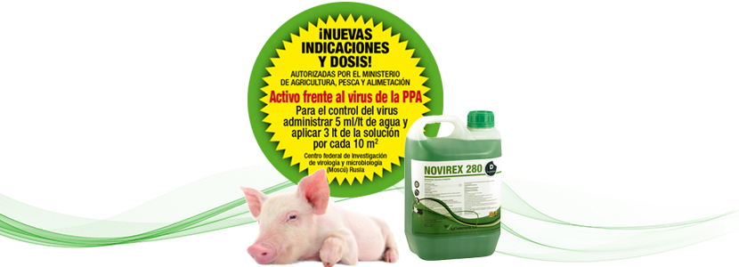 NOVIREX 280 – Autorizado frente al virus de la Peste Porcina Africana