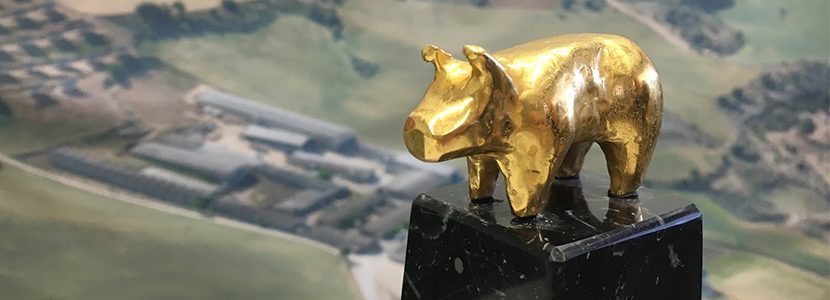 100 granjas de porcino nominadas a los Premios Porc d’Or 2019
