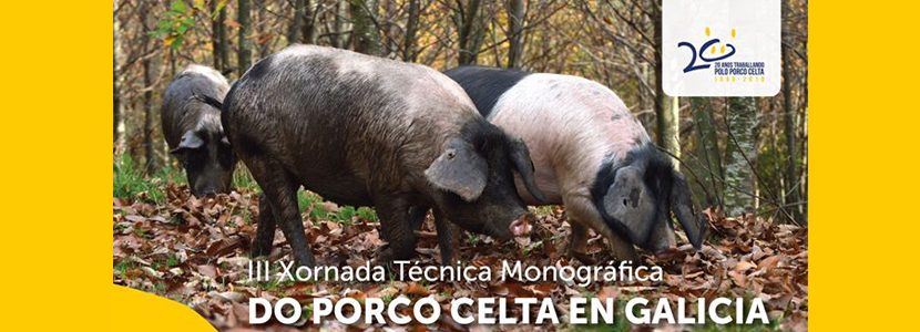 III Xornada Técnica Monográfica DO PORCO CELTA EN GALICIA