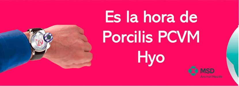 Porcilis PCV® M Hyo consigue la cifra de 200 millones de lechones...