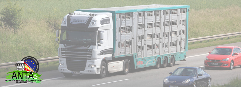 ANTA esta desarrollando un sello de bienestar en el transporte animal