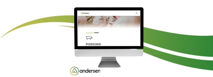Andersen lanza su nueva web corporativa