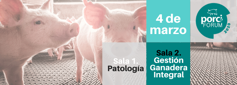 PROGRAMA PORCIFORUM: SALA PATOLOGÍA & SALA GESTIÓN GANADERA