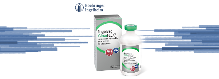 Boehringer Ingelheim presenta DiaTEC, tecnología de purificación para Ingelvac CircoFLEX®