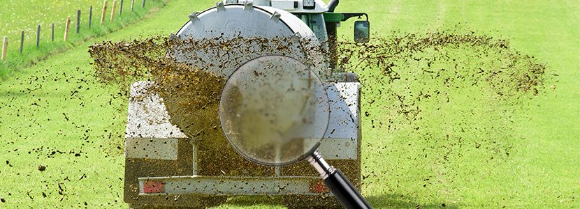 Se pone en marcha la metodología de cálculo del nitrógeno de las deyecciones ganaderas