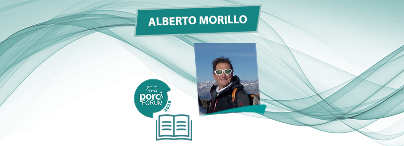 Memoria porciFORUM 2020 – Alberto Morillo