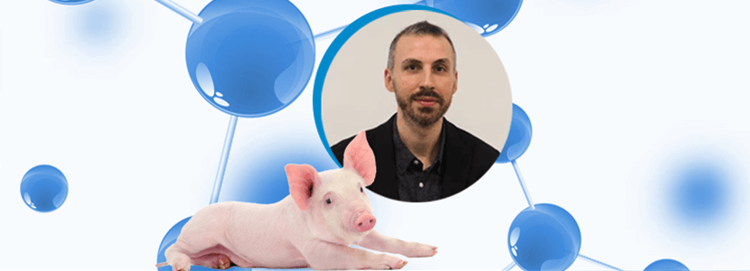 Entrevistamos a Francesc Molist sobre el futuro de la nutrición porcina