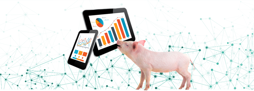 Niveles de residuos de medicamentos veterinarios en animales y alimentos en la UE