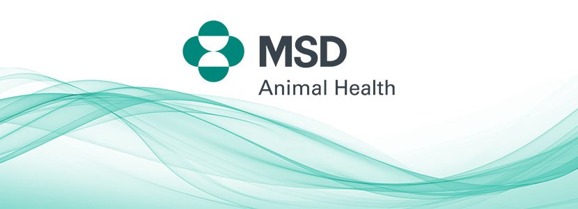 MSD Animal Health agradece a los 30.000 veterinarios españoles por...