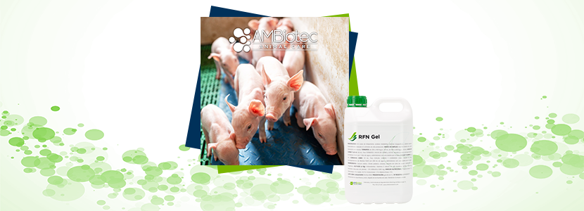 AMBiotec, innovación en salud y bienestar animal, presenta su nuevo producto: RFN GEL