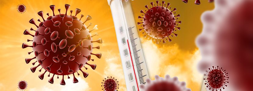 Temperatura y tiempo – Cruciales para la inactivación del SARS-CoV-2