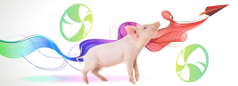 Control ambiental en explotaciones porcinas – ¡Ahora y siempre!