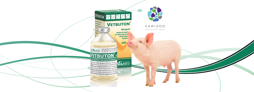 Laboratorios Karizoo lanza VETBUTON® 100 mg/ml Solución Inyectable en España...
