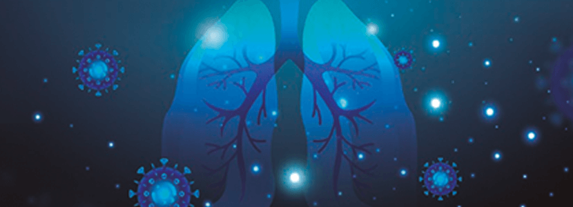 Ceva Lung Program – Lesiones bronconeumónicas y pleuritis en matadero