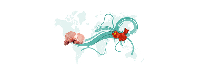 Mercado porcino: impacto de la reducción de importaciones de carne de cerdo de China
