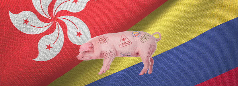 Al igual que Costa de Marfil, Hong Kong recibirá carne de cerdo Colombiana