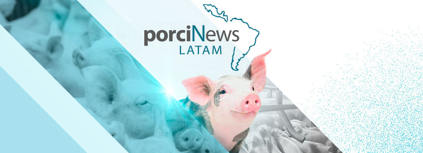 porciNews ahora en Latinoamérica