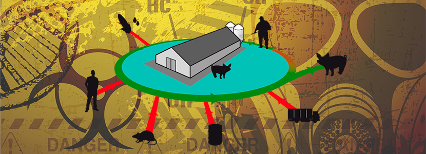 Buenas prácticas de bioseguridad en granjas porcícolas