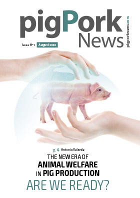 PigPorkNews August 2020