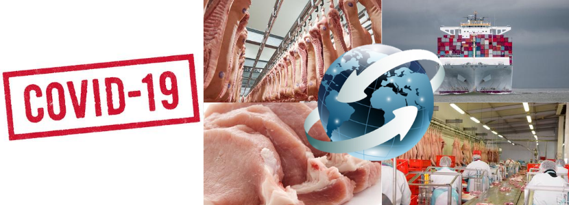Covid-19 traz incertezas para a cadeia global de carne suína
