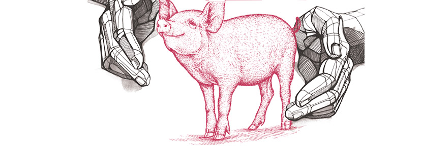 The new era of Animal Welfare in Pig Production – Are we ready?