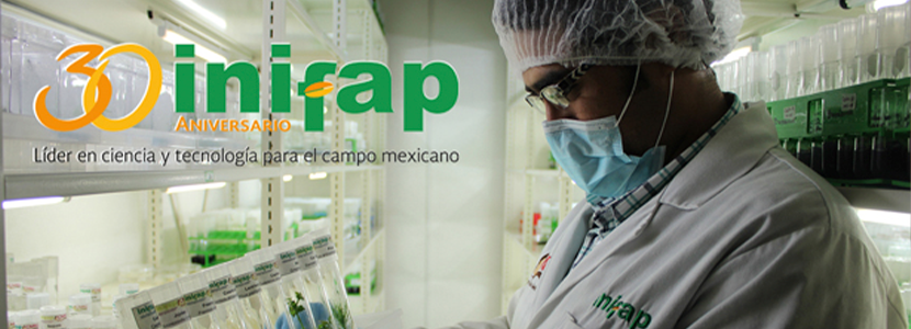 INIFAP desarrolla vacunas para uso en porcicultura