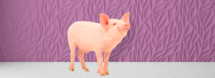 Impacto de aditivos alimentarios sensoriales en la ingesta de alimento al destete