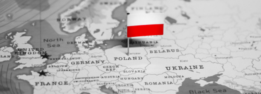 Novo surto de Peste Suína Africana na Polônia