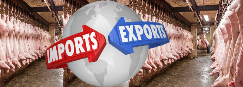 Exportação de carne suína cresce 54,5% em 2020