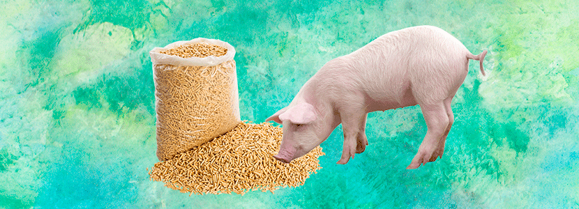 ¿Cómo es la reacción sistémica frente a los aditivos alimenticios?