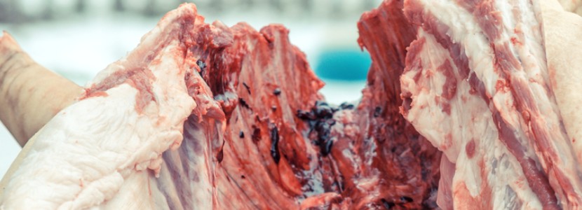 Métodos de aturdimiento pre faena: efecto en la calidad de la carne