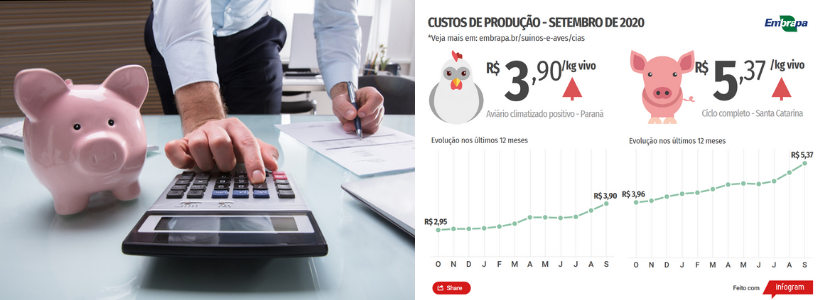 Elevação dos custos de produção de suínos e de frangos de corte