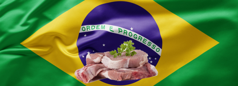 Em 9 meses Brasil bate recorde absoluto na exportação de carne suína