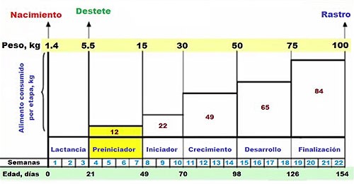 Nutrición de los cerdos en crecimiento y finalización